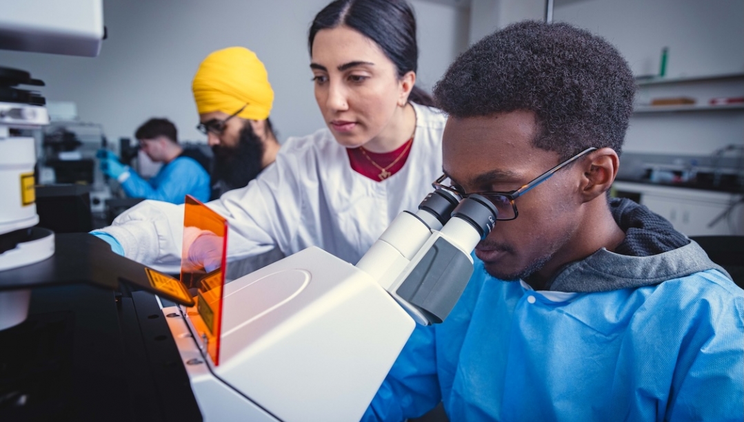 Researchers in a biomedical science lab