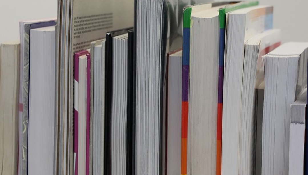 Photo of books lined up.