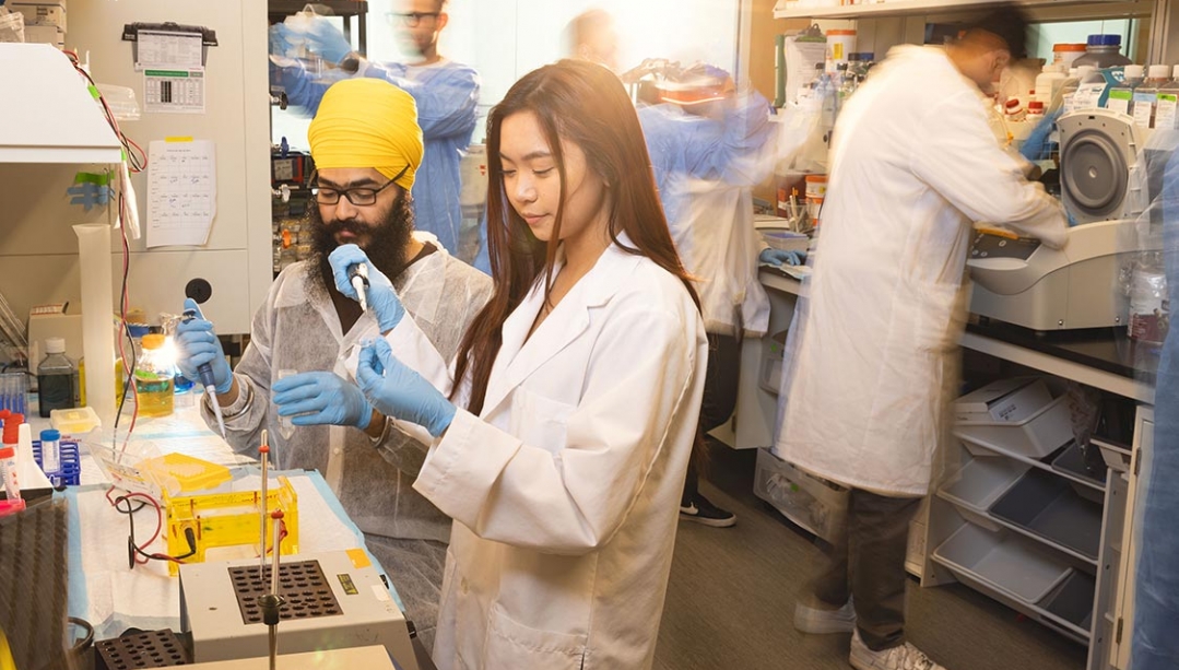 BioMed students in lab at University of Windsor