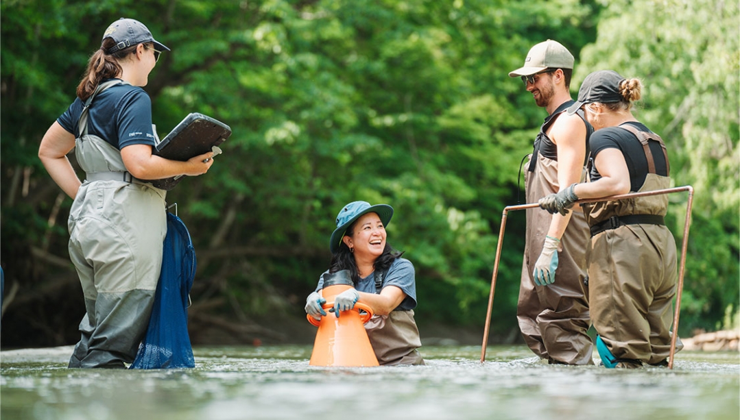 Catherine Febria, centre, conducts field research with three University of Windsor students while standing in the Sydenham River.