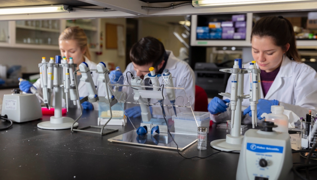 Student researchers in the lab