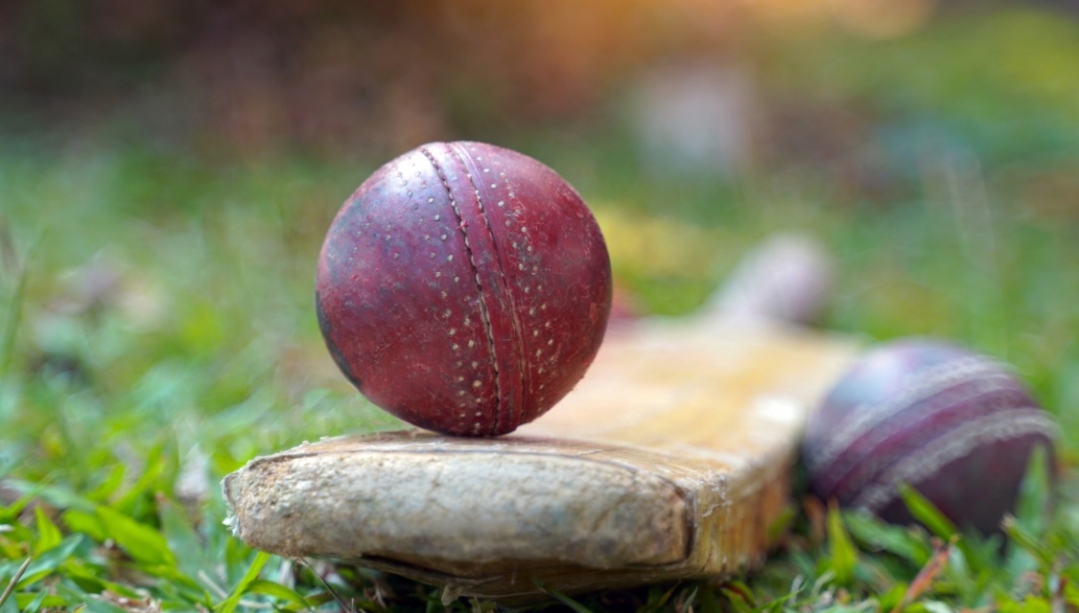 close up of cricket bat and ball in the grass