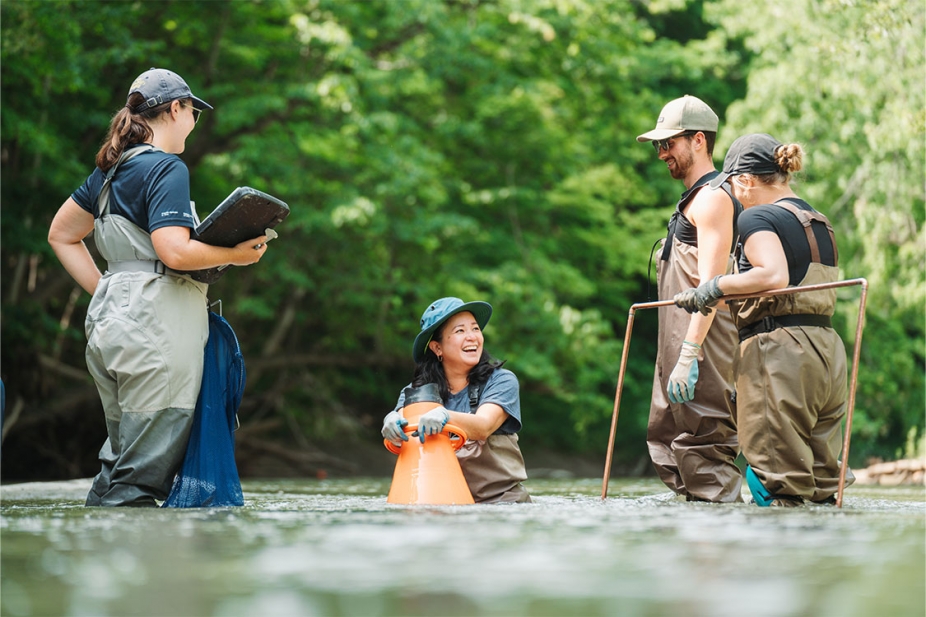 Catherine Febria, centre, conducts field research with three University of Windsor students while standing in the Sydenham River.