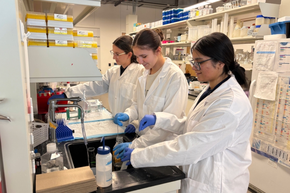 Undergraduate researchers in the lab