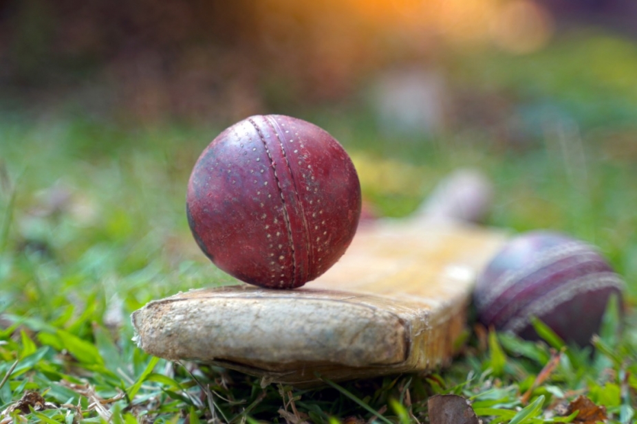 close up of cricket bat and ball in the grass