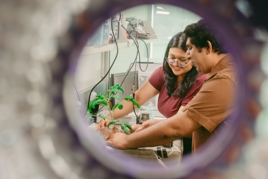 Physics lab students conducting research