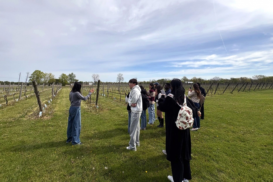 Master of Management program students with Jean Qian in vineyard