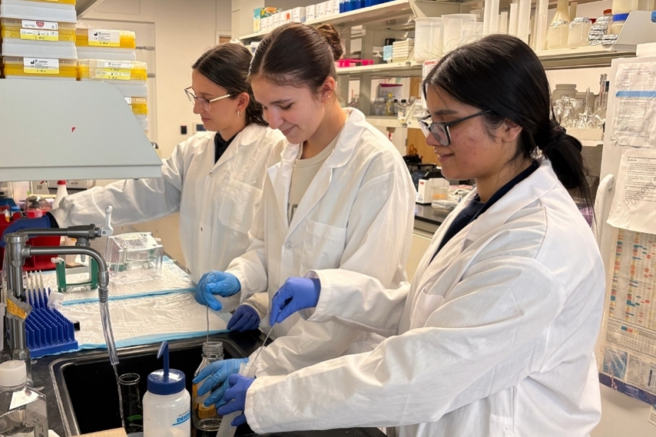Undergraduate researchers