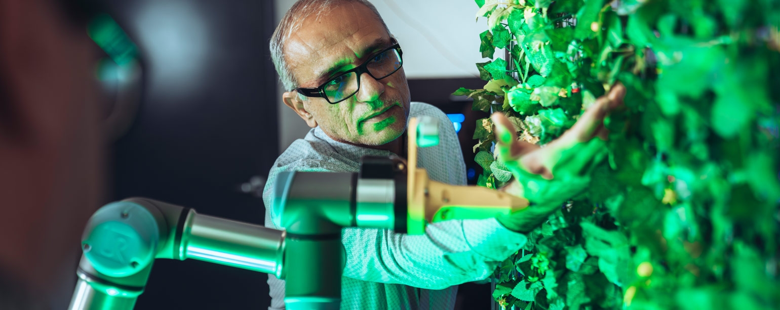Dr. Shahpour Alirezaee tends to a wall of leaves