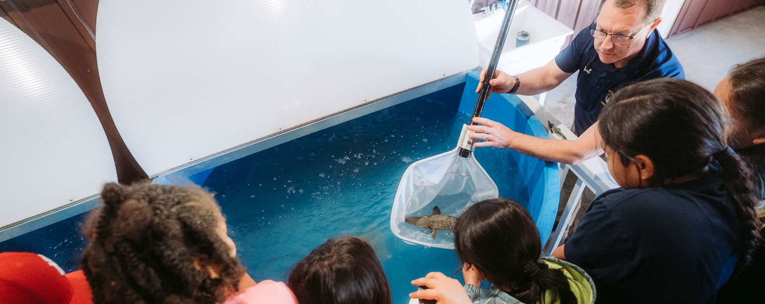 Trevor Pitcher shows students a juvenile sturgeon at the opening of the Giigoonyig Enjintaawgiwaad hatchery at Anishinaabeg Kinomaagewgamig Immersion School on Walpole Isl