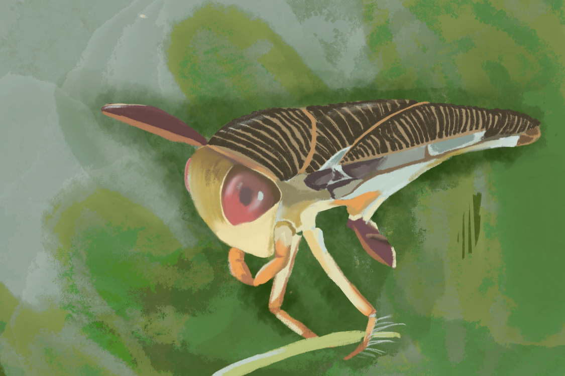 Artist rendering of a corixidae invertebrate