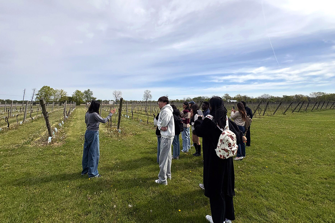 Master of Management program students with Jean Qian in vineyard