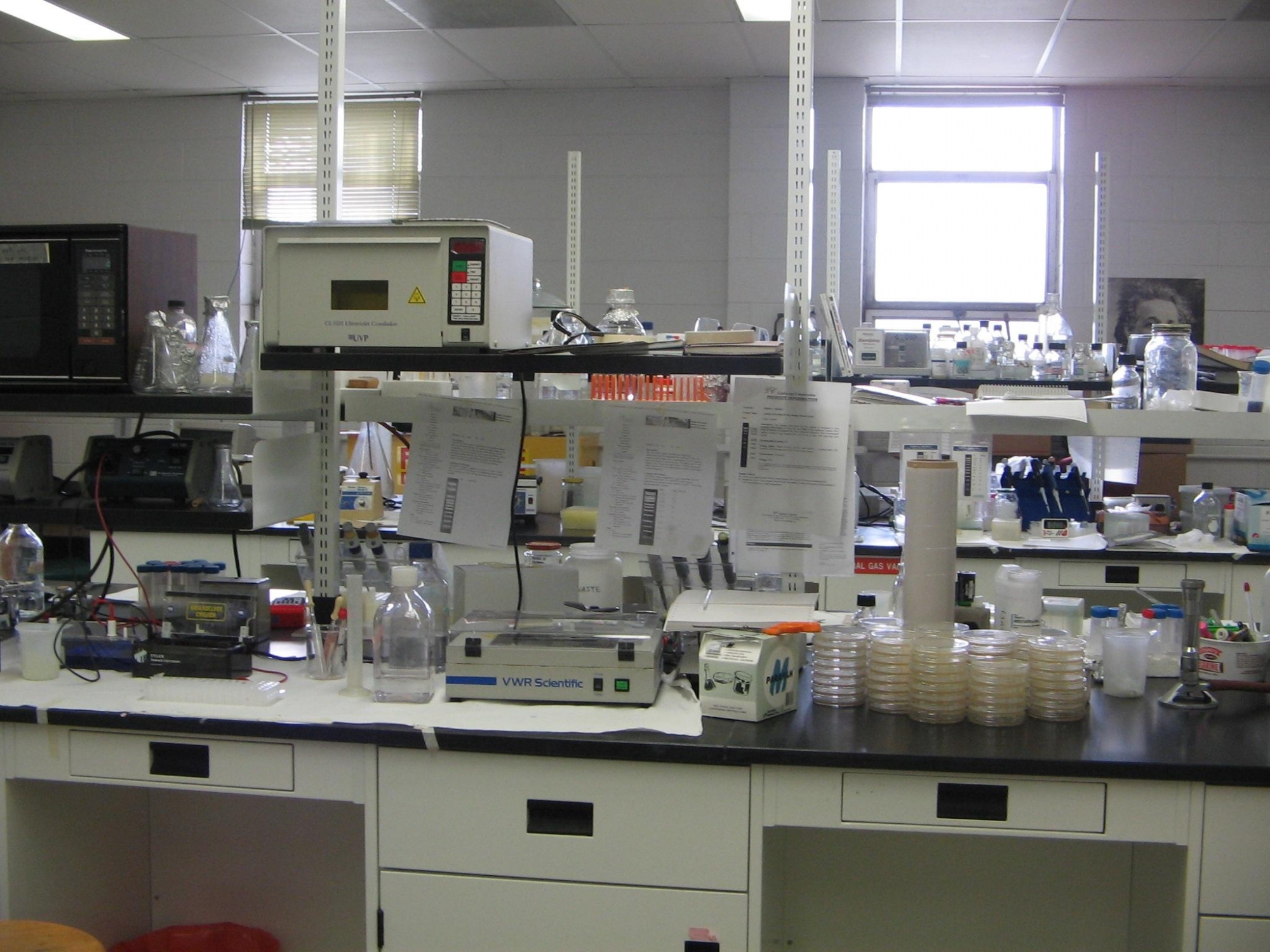 Second image of lab