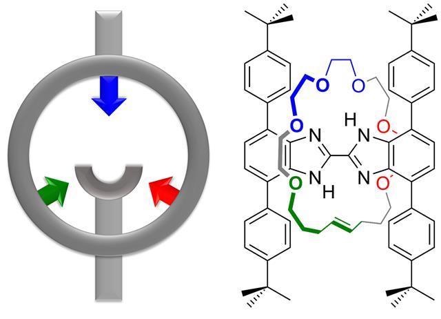 ACIE - TOC Graphic