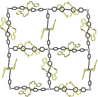 Chapter Polyrotaxane