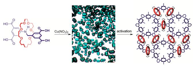 Metal-Organic Frameworks with Dynamic Interlocked Components