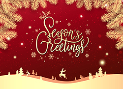Cover #2 - Season's Greetings: Red and Gold