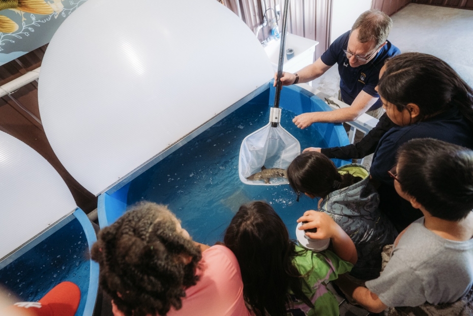 Dr. Trevor Pitcher, director of the University of Windsor's Freshwater Restoration Ecology Centre, shows students a juvenile sturgeon at the opening of the Giigoonyig Enjintaawgiwaad hatchery at Anishinaabeg Kinomaagewgamig Immersion School on Walpole Isl