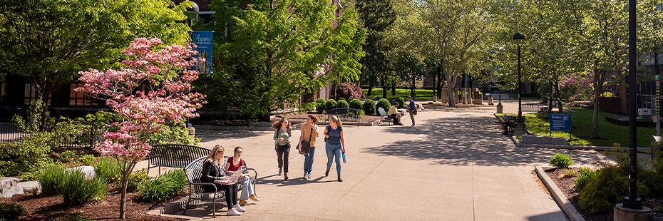 Students walk through the University of Windsor's River Commons.