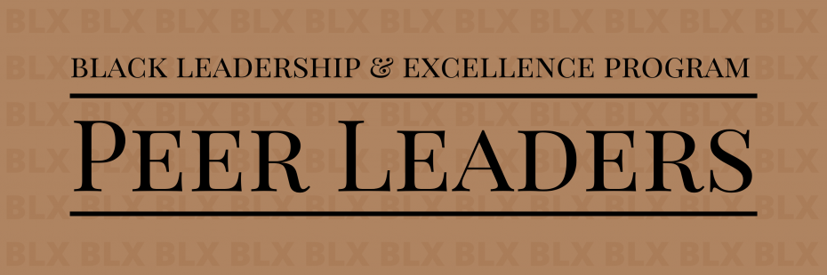 black leader excellence-Peer leader