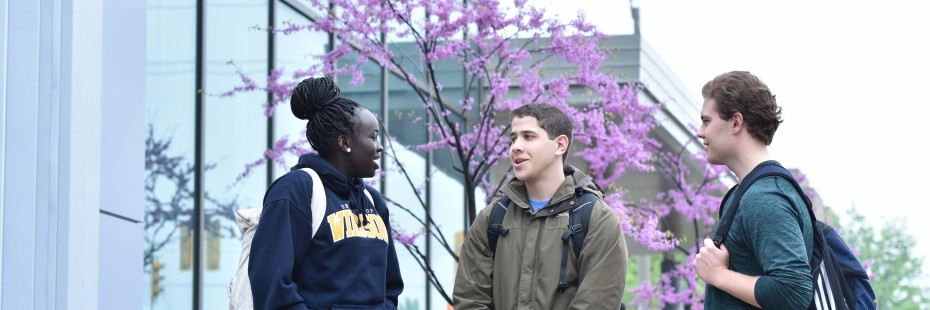 Students talking outside on the sidewalk