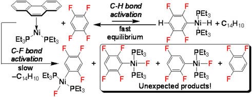 TOC: Unexpected Intermediates and Products in the C-F Bond Activation of Tetrafluorobenzenes with a Bis(triethylphosphine)Nickel Synthon: Direct Evidence of a Rapid and Reversible C-H Bond Activation by Ni(0)