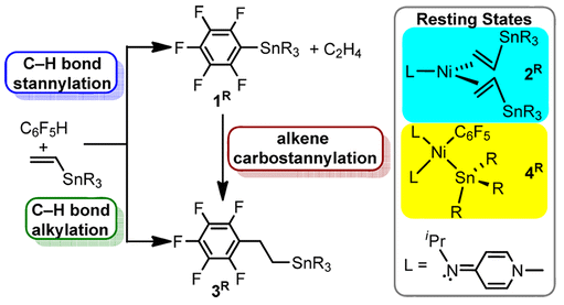 TOC:Carbon-hydrogen Bond Stannylation and Alkylation by Nitrogen-Donor-Supported Nickel Complexes: Intermediates with Ni-Sn Bonds and Catalytic Carbostannylation of Ethylene with Organostannanes