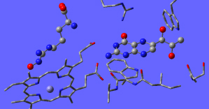 Chemistry of cofactors