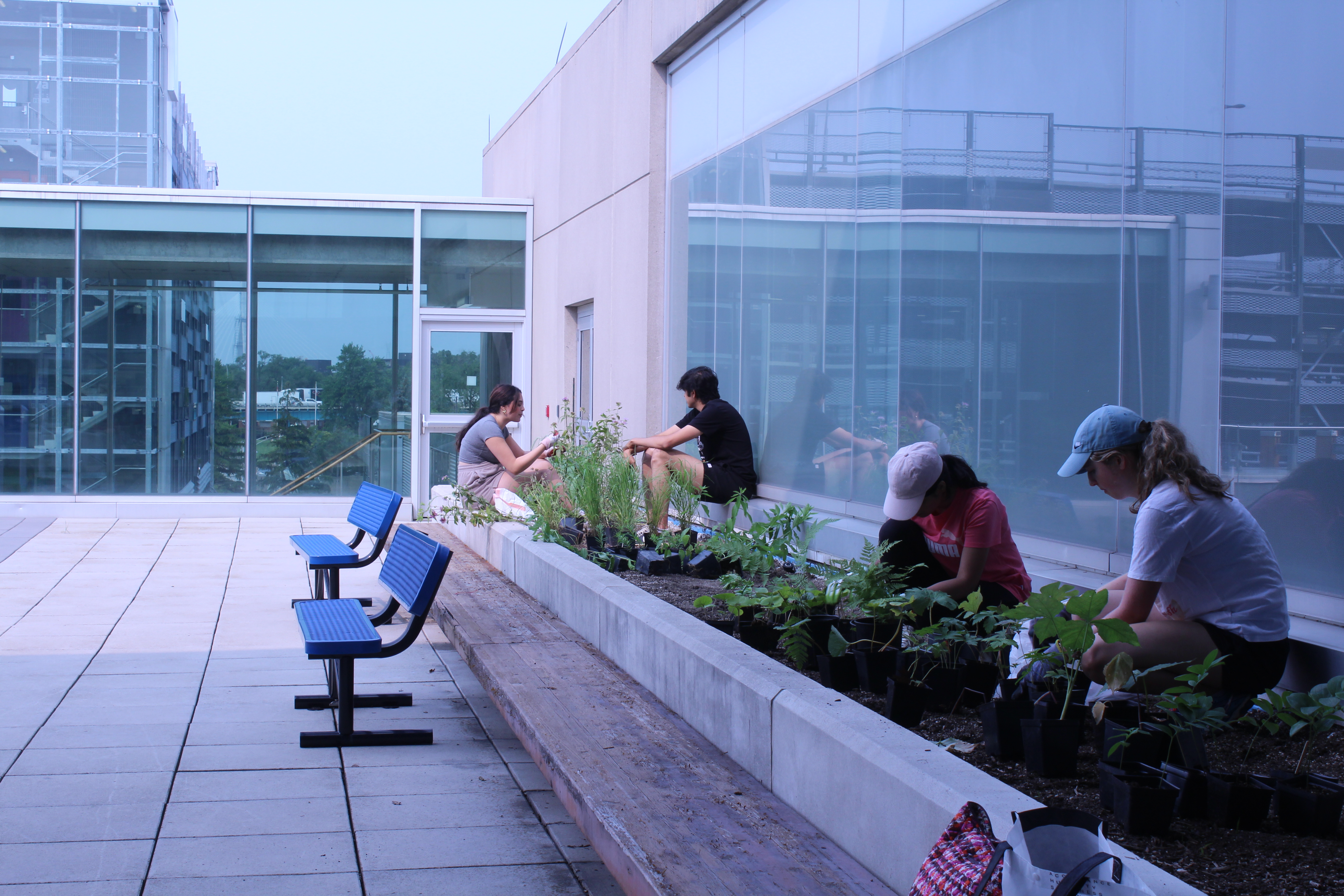 Students planting flowers in a rooftop garden