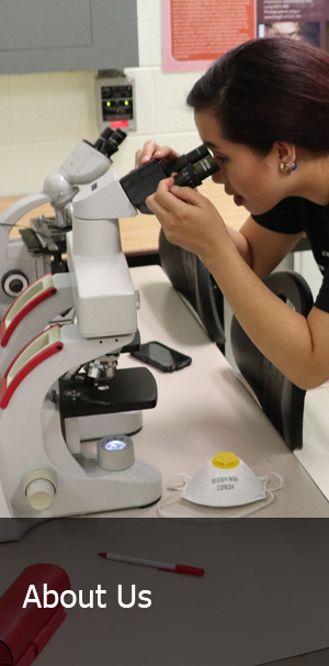 Student looking through a microscope