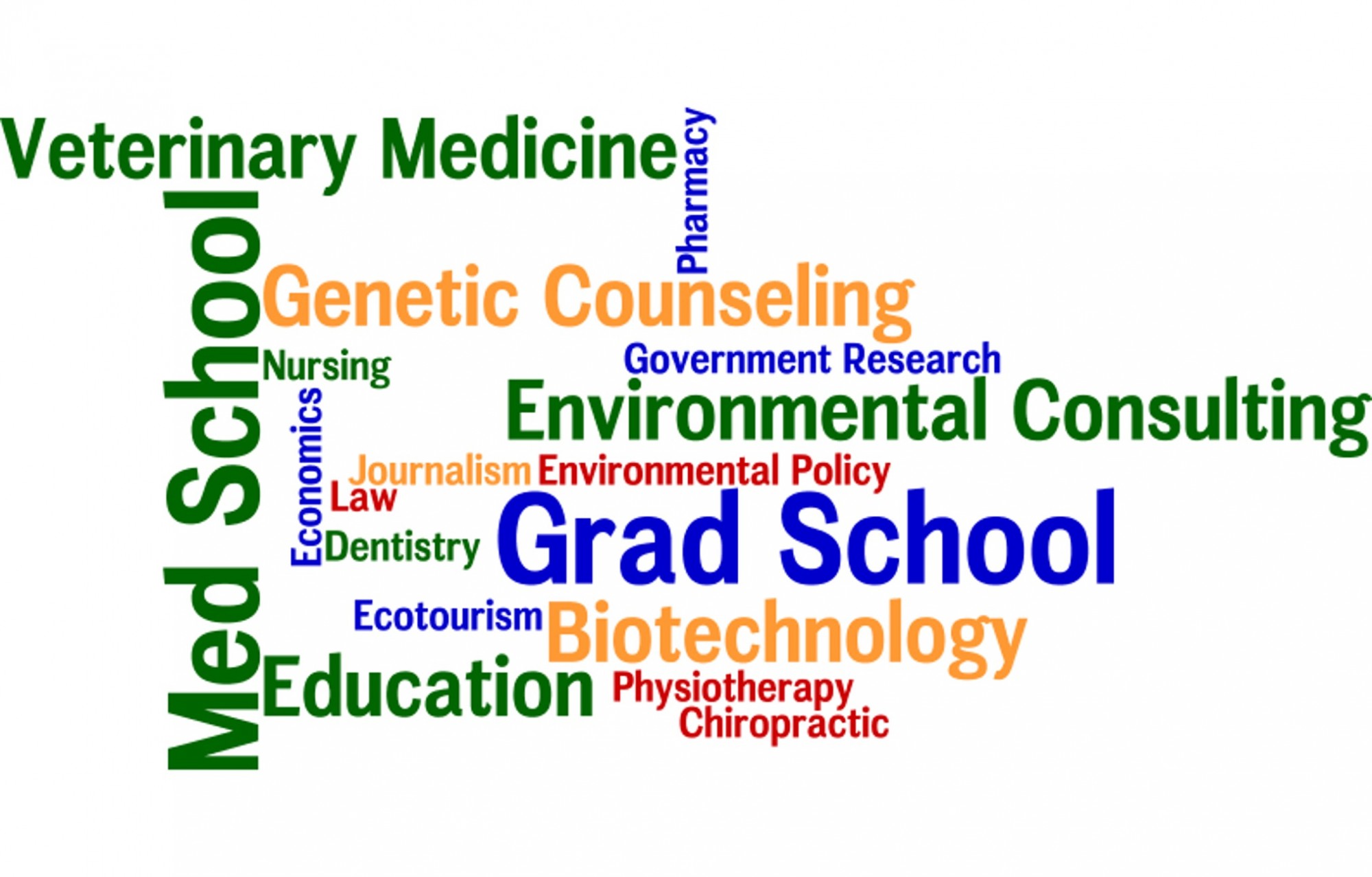 ibio word cloud