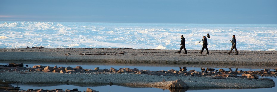 People walking on the shore