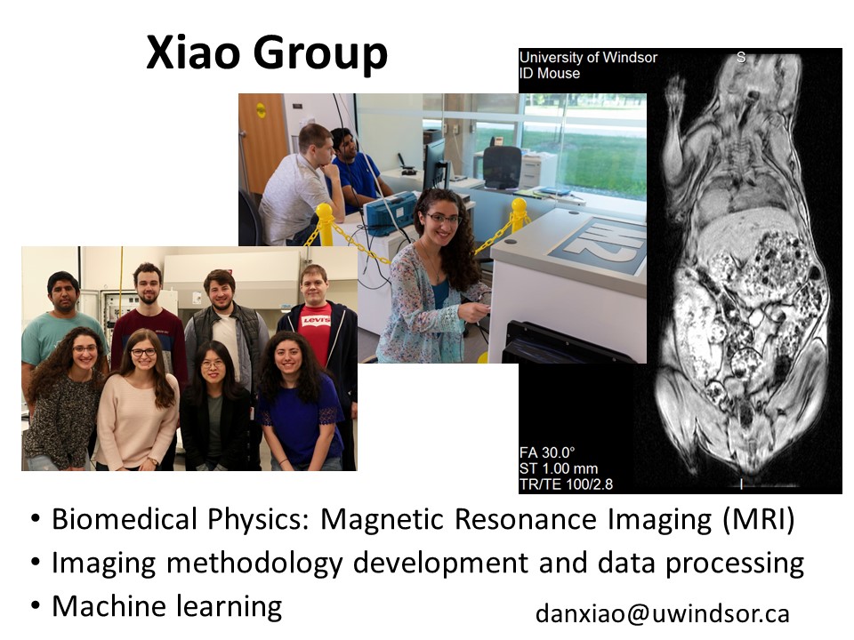 magnetic resonance imagine picture 1