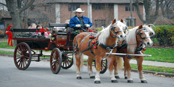 horse-drawn carriage