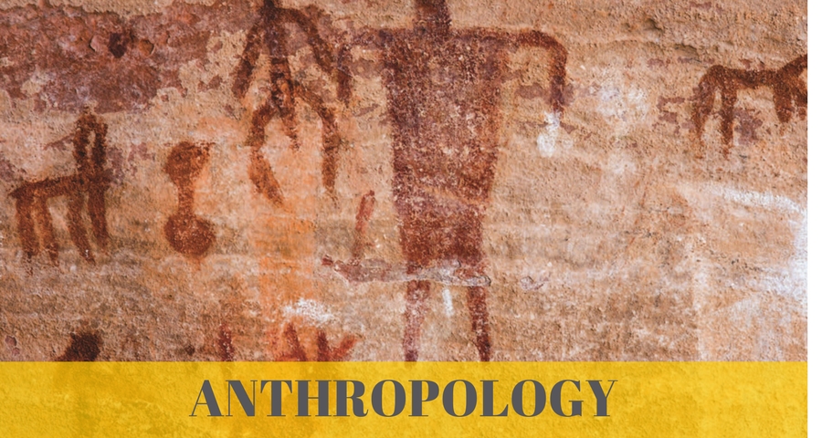 Cave carvings with the word Anthropology across it