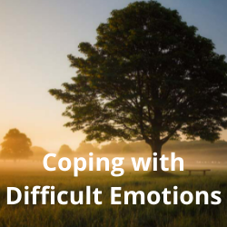 An image of a tree with the text "coping with difficult emotions" written on top of the image.