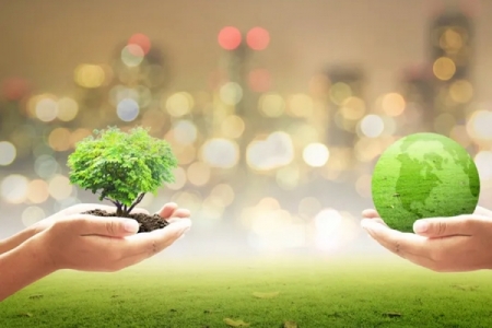 Two hands holding a plant and the planet.