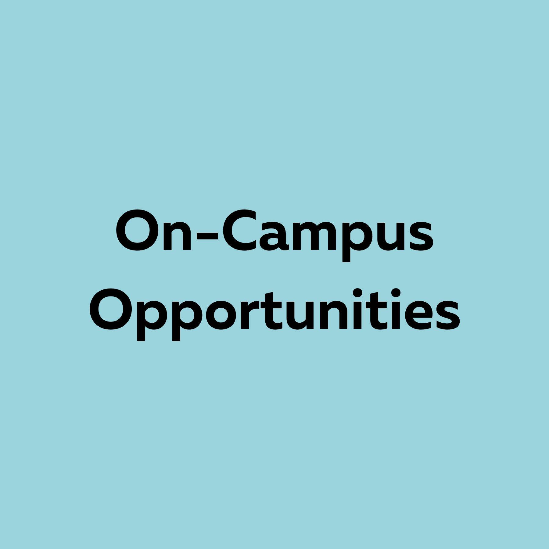 On-Campus Opportunities