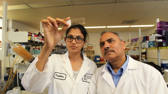 Krithika Muthukumaran and Dr. Siyaram Pandey shown in Dr. Pandey's lab.