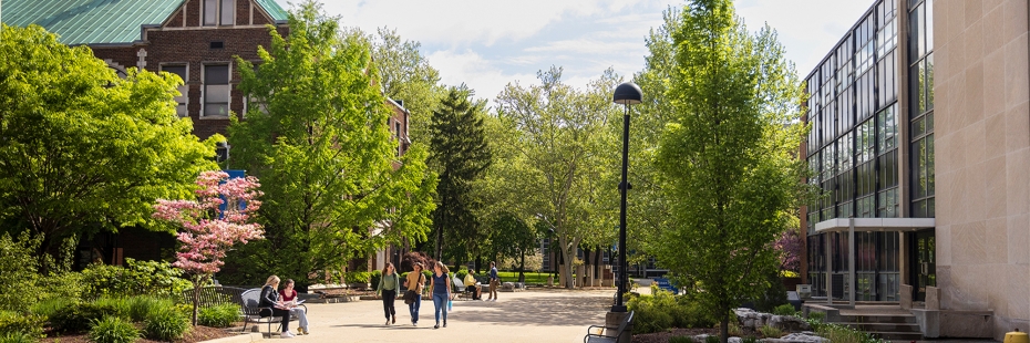 Students on campus walking and talking