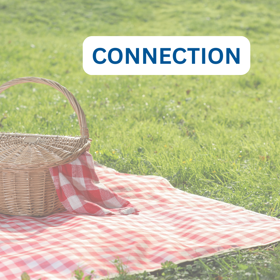 Picnic basket on a red checkered blanket in the grass, with the word "Connection" overlayed