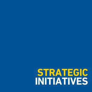 Strategic Initiatives