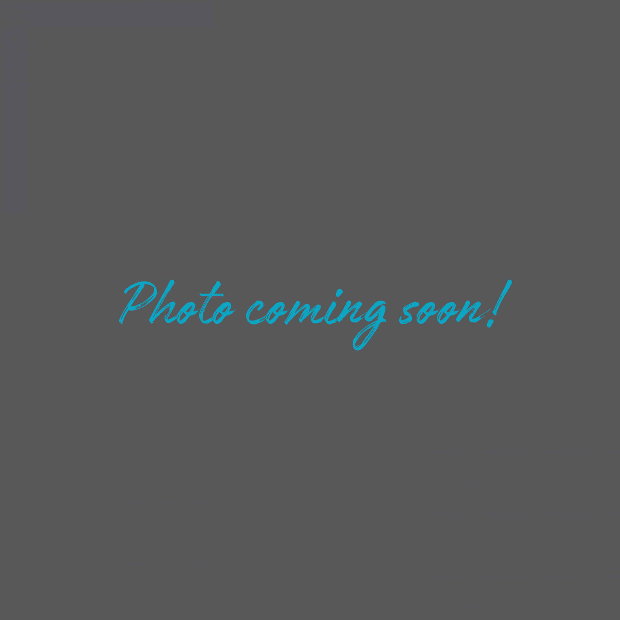 Grey background with blue text that says "Photo coming soon!"